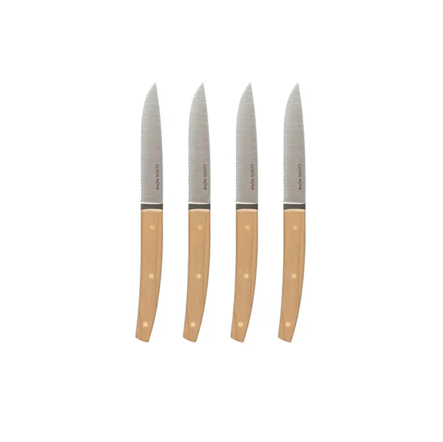 costa-nova-remo-c20705-steakmesser-4-tlg-edelstahl-poliert image 1
