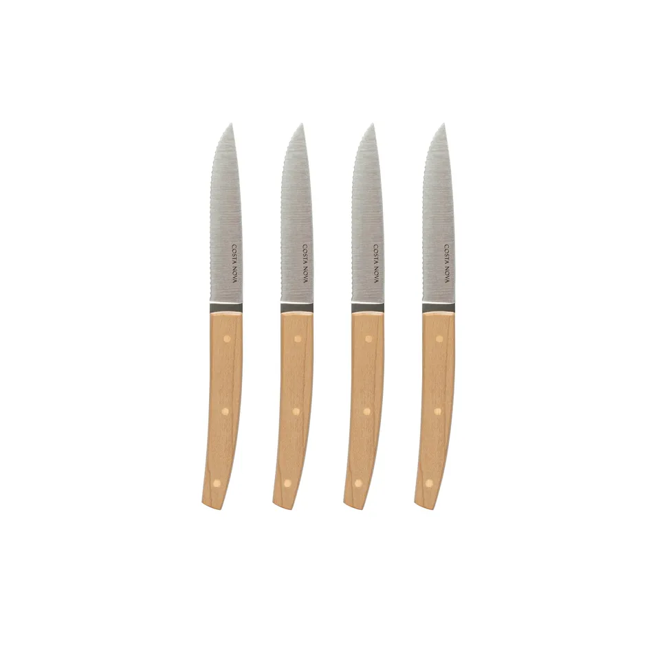 costa-nova-remo-c20705-steakmesser-4-tlg-edelstahl-poliert image 1