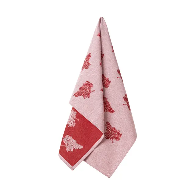 costa-nova-nova-geschirrt-cher-cft0058-rot-set-2-baumwolle image 1
