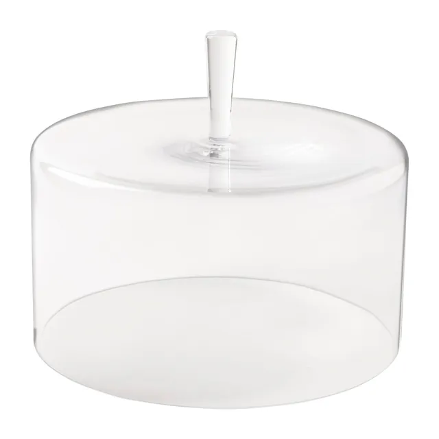 costa-nova-coupole-v10242-clr-glasglocke-transparent image 1