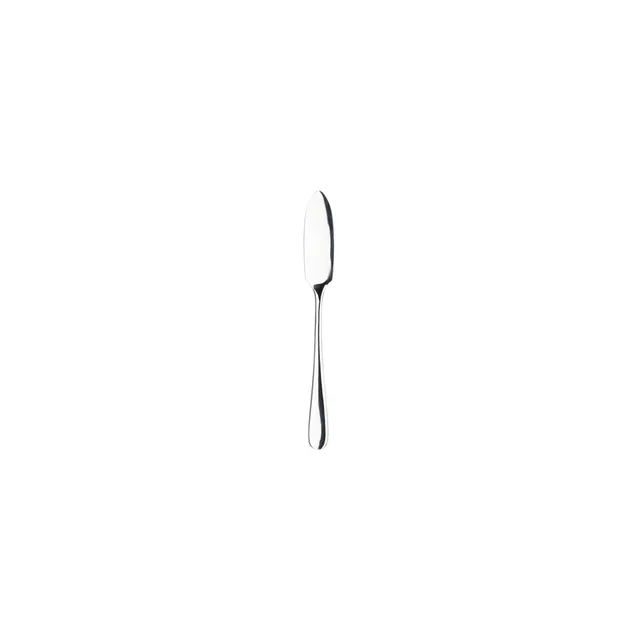 costa-nova-lumi-c20323-pol-buttermesser-poliert-silber image 1