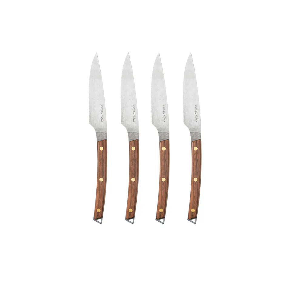 costa-nova-remo-c20587-steakmesser-4er-vintage-edelstahl image 1