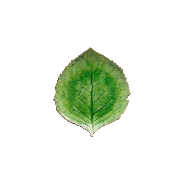 costa-nova-riviera-folha-hortensia-teller-tomate-verde-steinzeug image 1