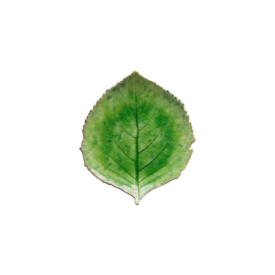 costa-nova-riviera-folha-hortensia-teller-tomate-verde-steinzeug image 1