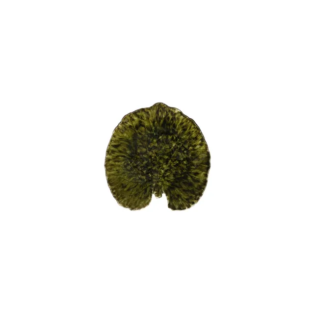 costa-nova-riviera-blattschale-gr-n-feinsteinzeug-bioform image 1