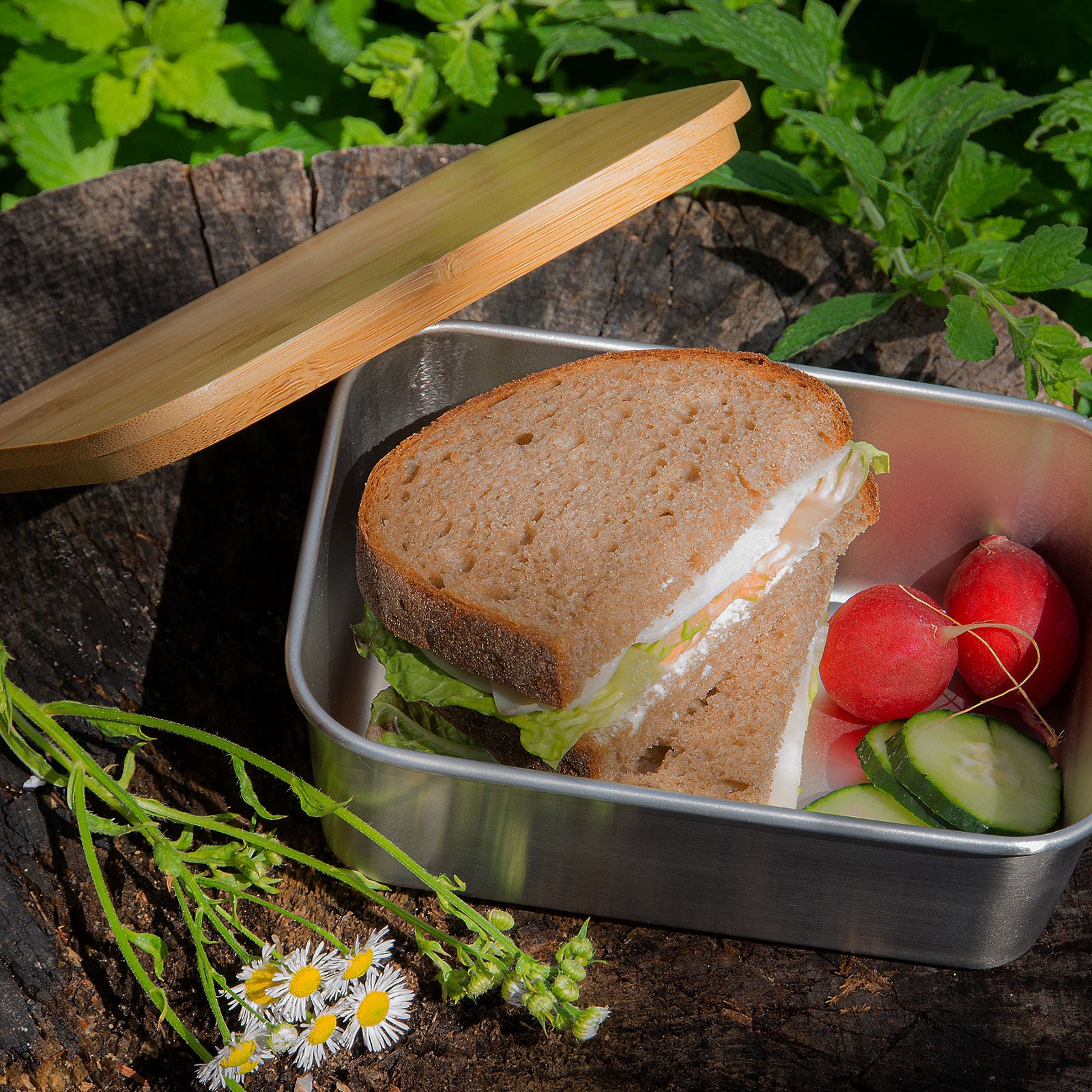 echtwerk-lunchbox-brotdose-edelstahl-800-ml-bento-box image 3