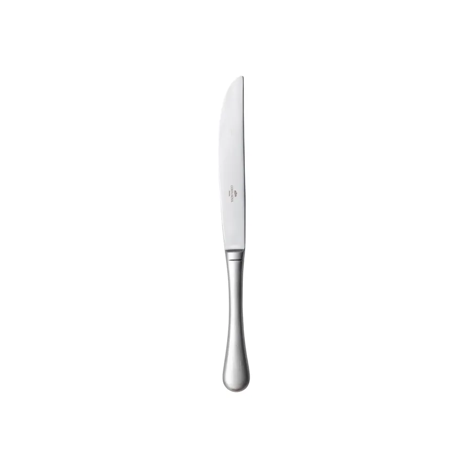 costa-nova-antigo-c20271-brs-fleischmesser-silber-geb-rstet-edelstahl image 1