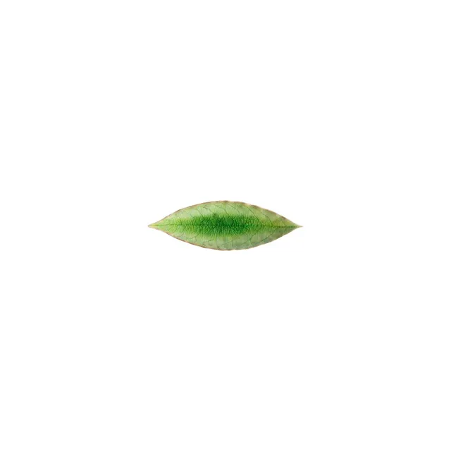 costa-nova-riviera-blatt-teller-steingut-tomate-gr-n image 1
