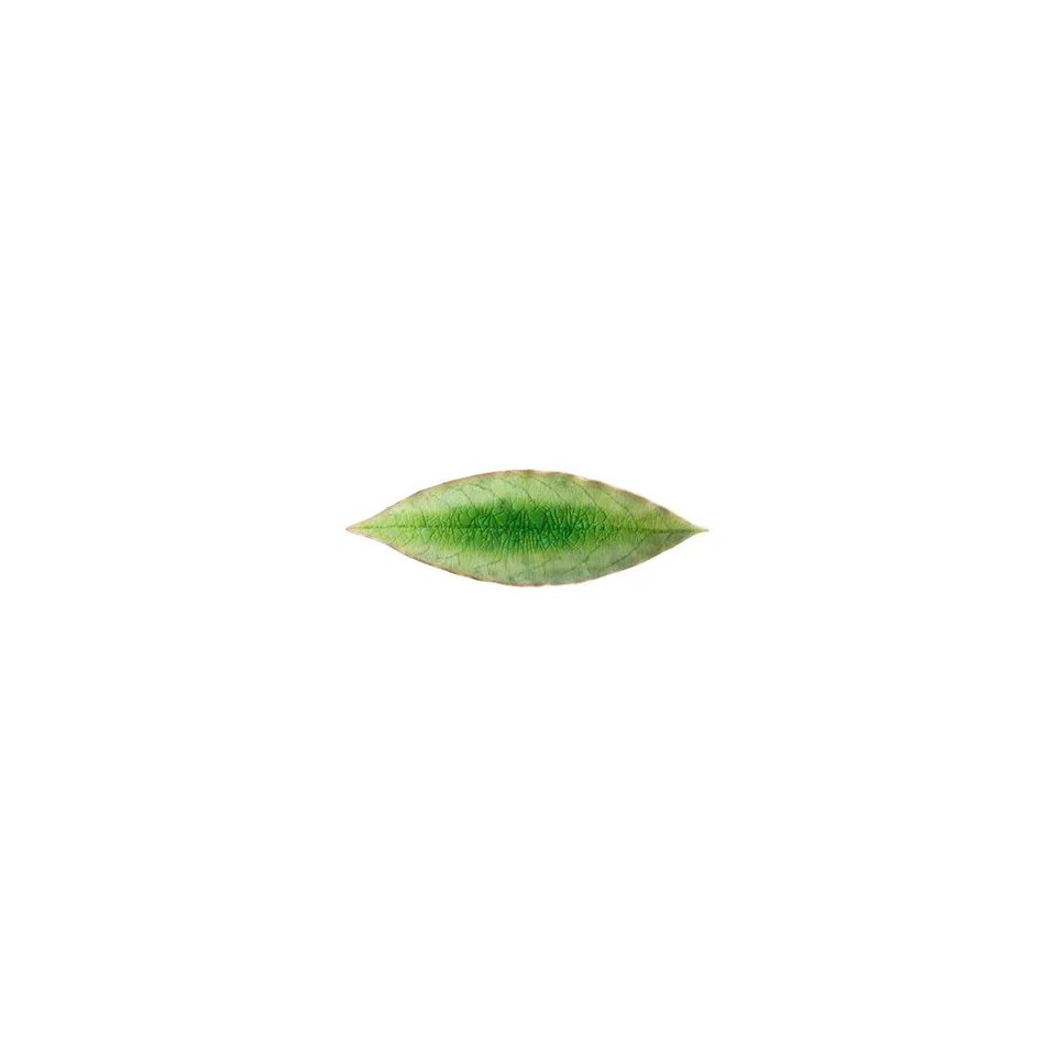 costa-nova-riviera-blatt-teller-steingut-tomate-gr-n image 1