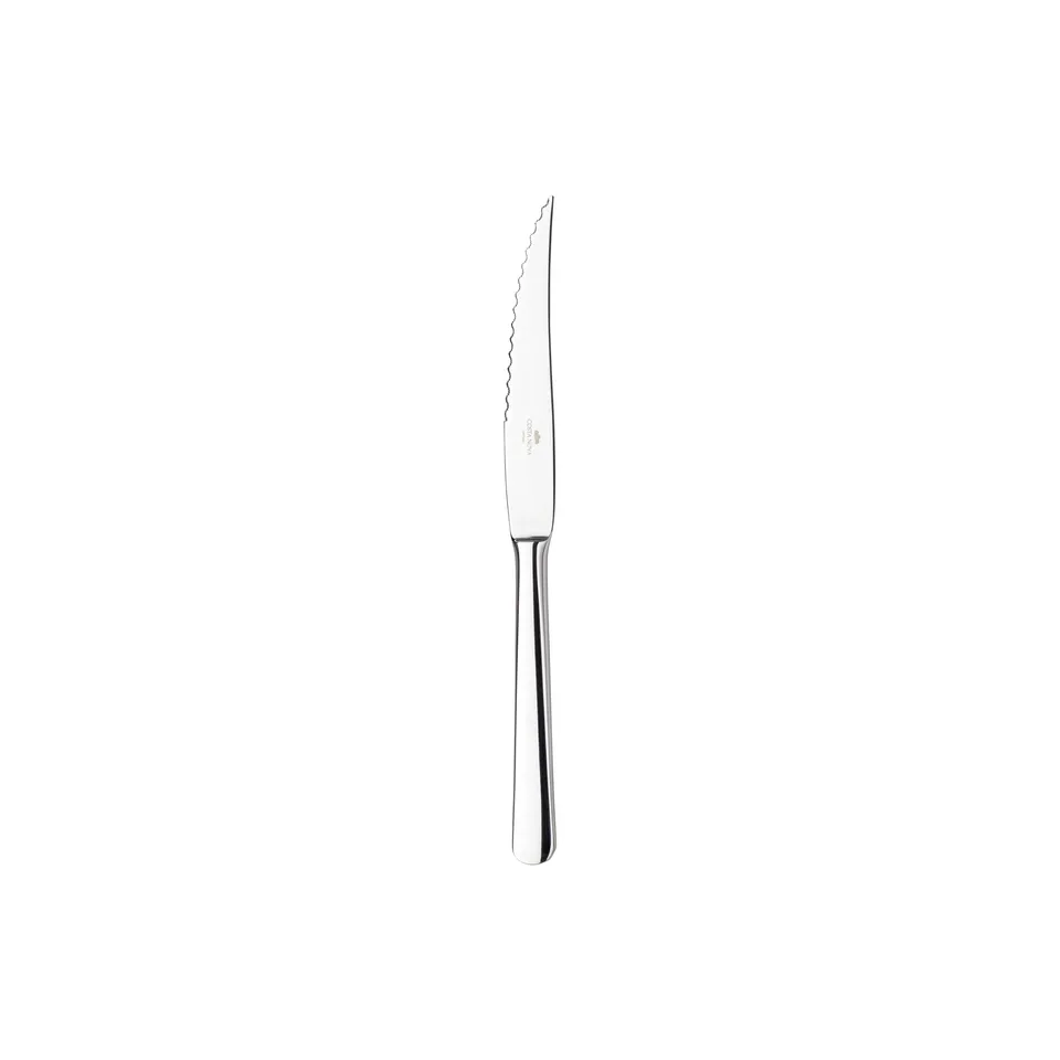 costa-nova-lumi-c20279-pol-steakmesser-poliert-silber image 1