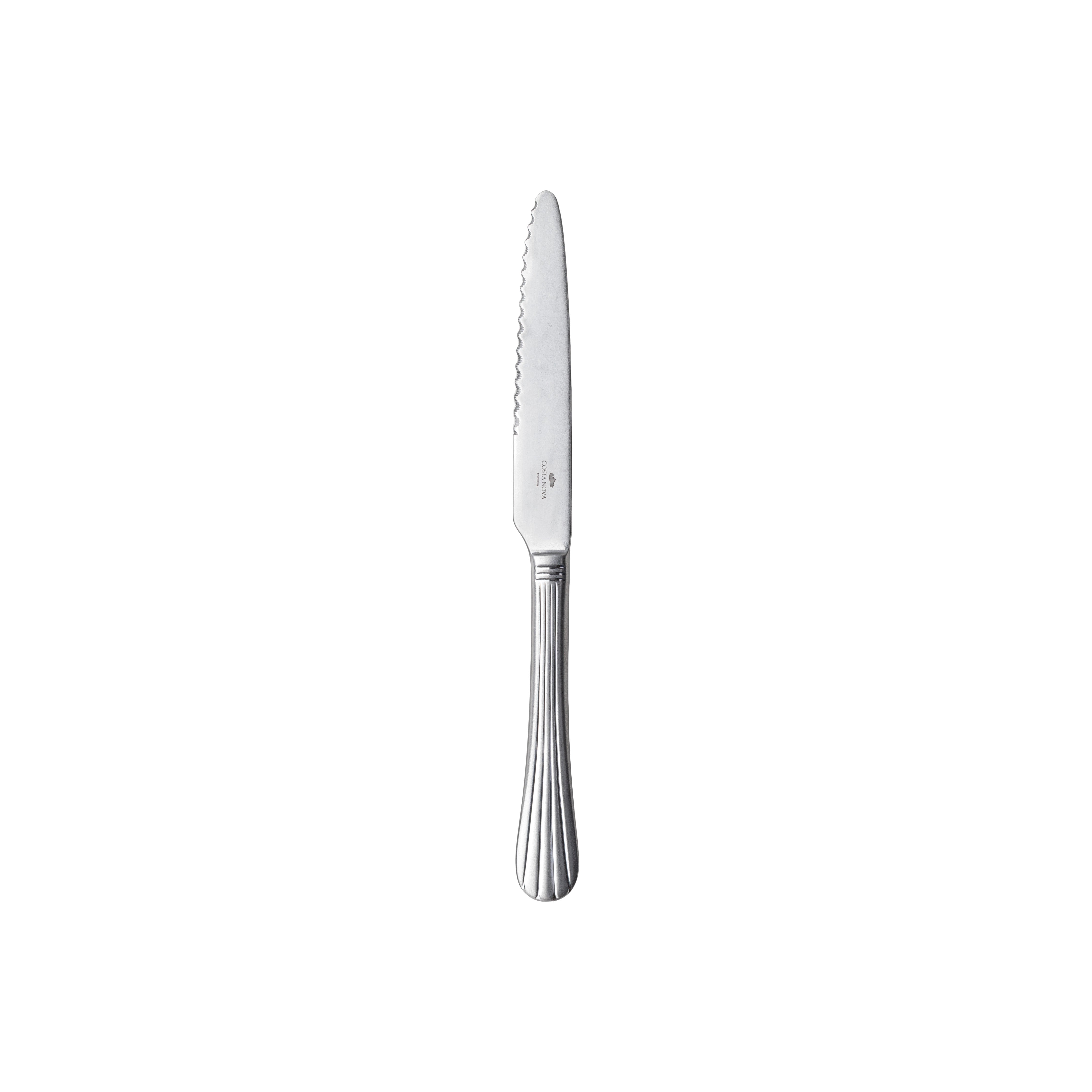 costa-nova-douro-c20800-vtb-steakmesser-vintage-silber image 1