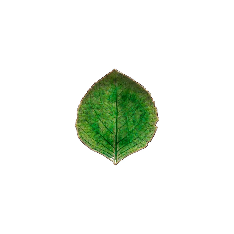 costa-nova-riviera-blattteller-tomate-verde-steingut-klein image 1