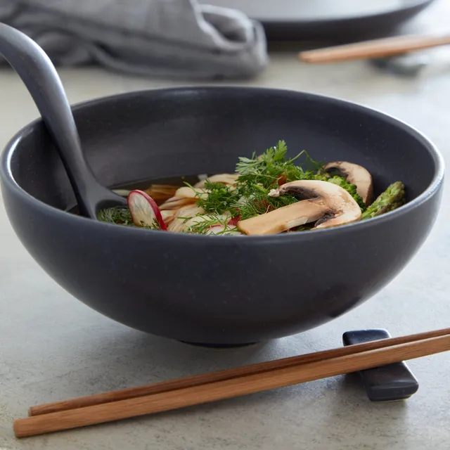 costa-nova-pacifica-ramen-schale-seed-grau-steingut-matt image 1