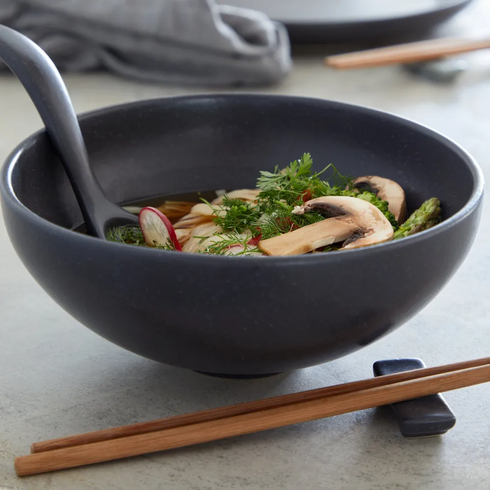 costa-nova-pacifica-ramen-schale-seed-grau-steingut-matt image 1
