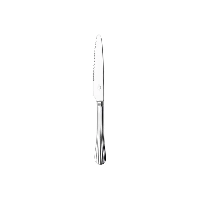 costa-nova-douro-c20801-pol-steakmesser-poliert-silber image 1