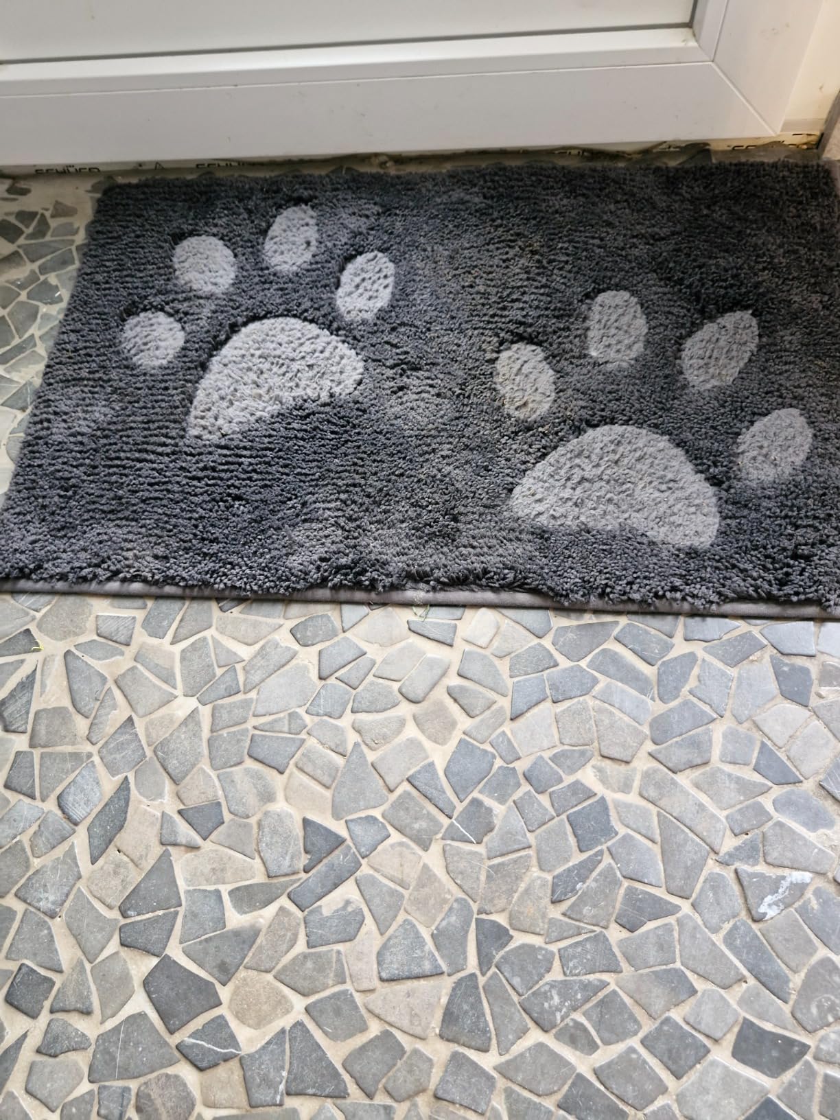 Hund läuft drüber