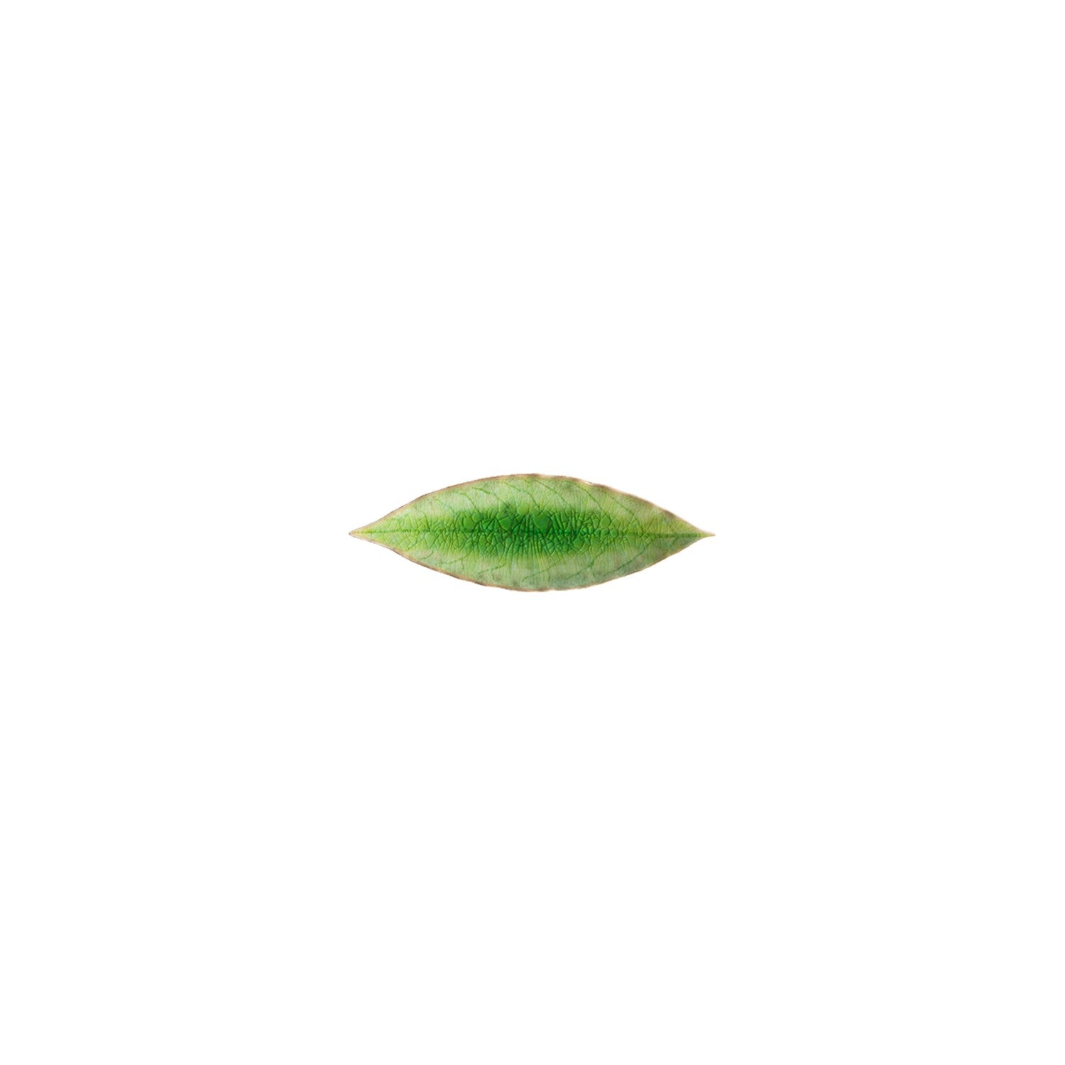 costa-nova-riviera-blatt-teller-steingut-tomate-gr-n image 1