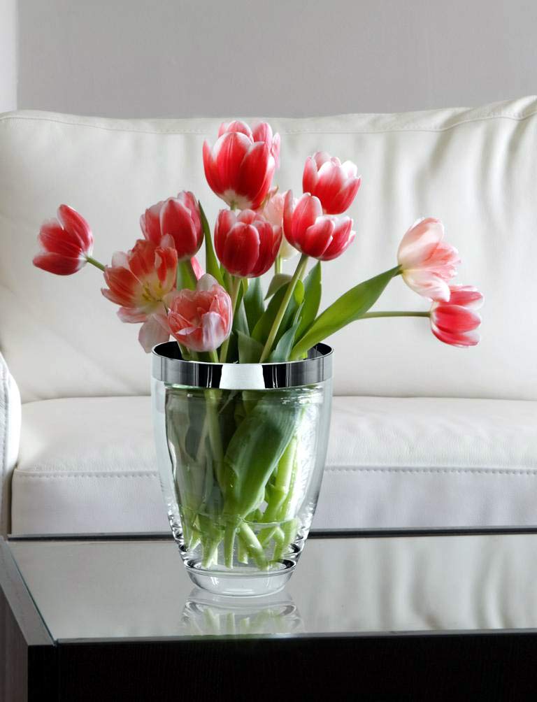 edzard-charlotte-vase-kristallglas-20-cm-platinrand image 7
