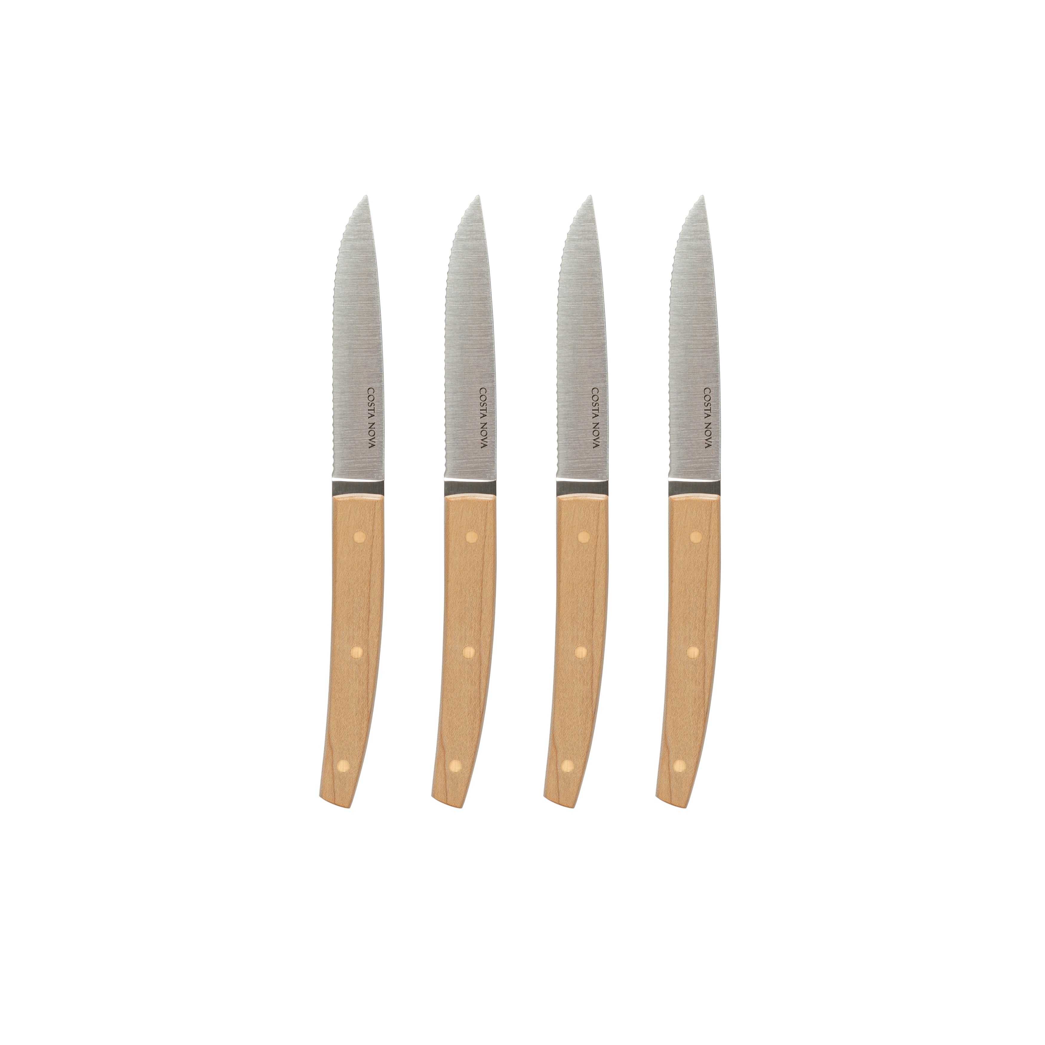 costa-nova-remo-c20705-steakmesser-4-tlg-edelstahl-poliert image 1